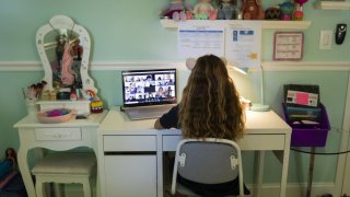 A student attends an online class from home