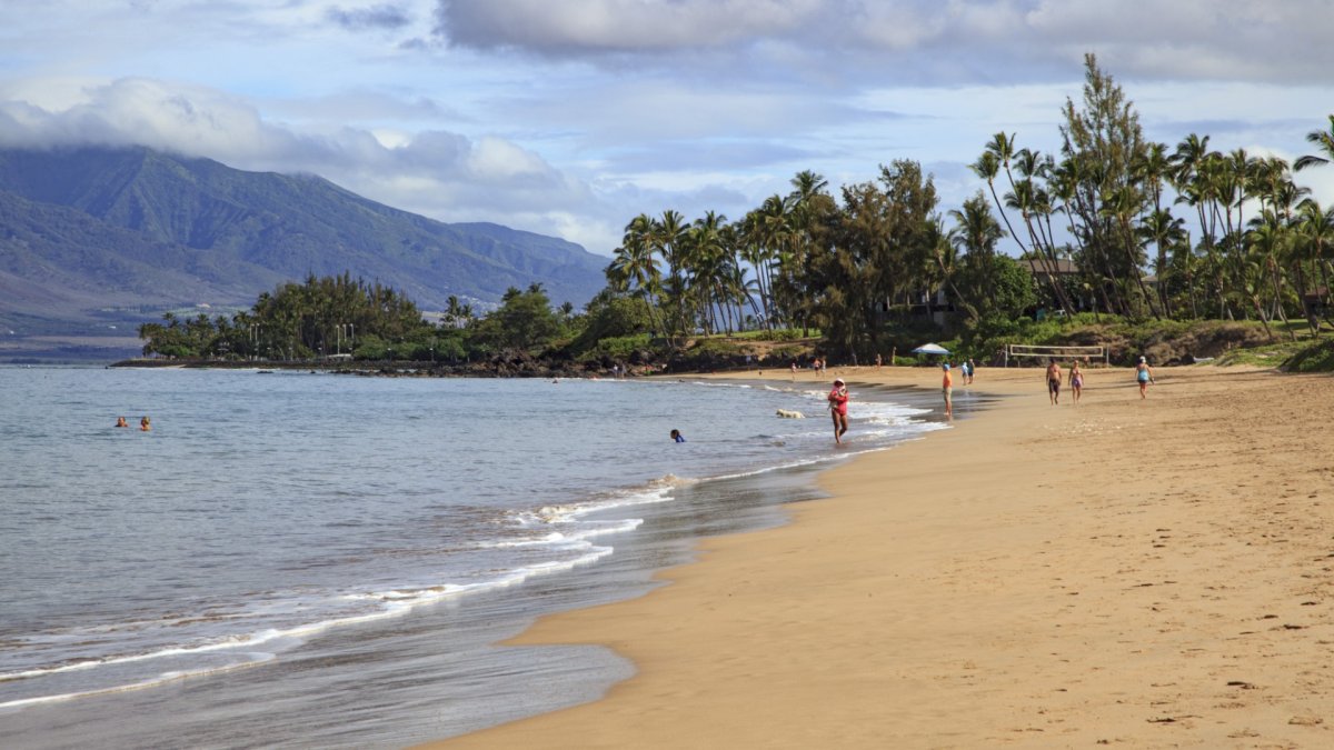 Hawaii tsunami warning app