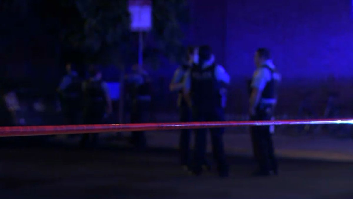 COPA Provides Update After Man Shot and Killed by Police in Pilsen NBC Chicago