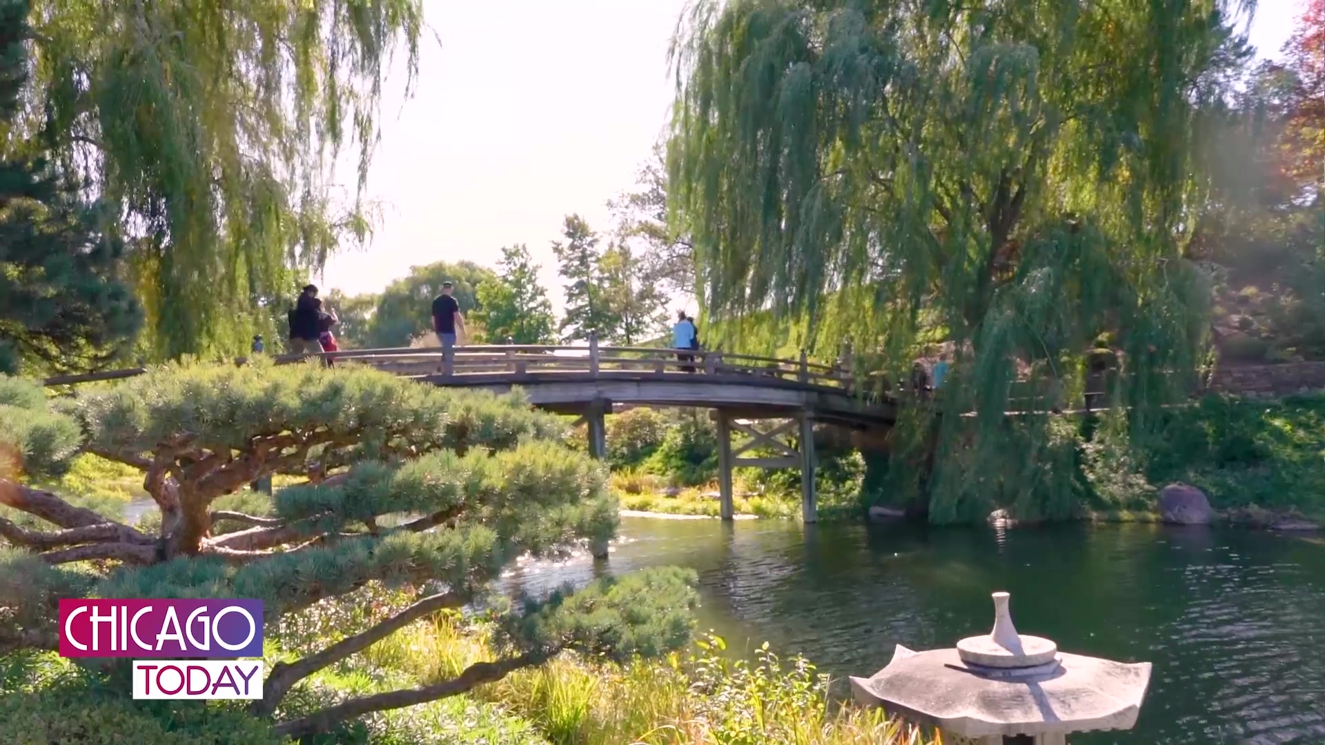 Chicago Botanic Garden Offers Free Admission To Promote Healing After Parade Shooting