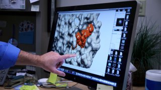 A Purdue researcher looks at a coronavirus sample on a computer