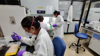 Researchers conduct Corona virus diagnostic tests on August 13,2020 at the Translational Health Science Technology Institute in Faridabad, India. India has ramped up corona virus testing, with over 2.5 million cases and over 50,000 deaths India is fast emerging as a hub for Covid 19. India has approx. 1400 labs that do testing and has carried out approx 30 million tests.