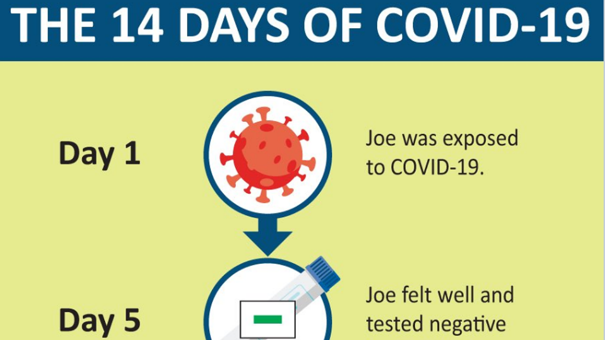 Graphic Here’s How COVID Could Spread During Thanksgiving NBC Chicago