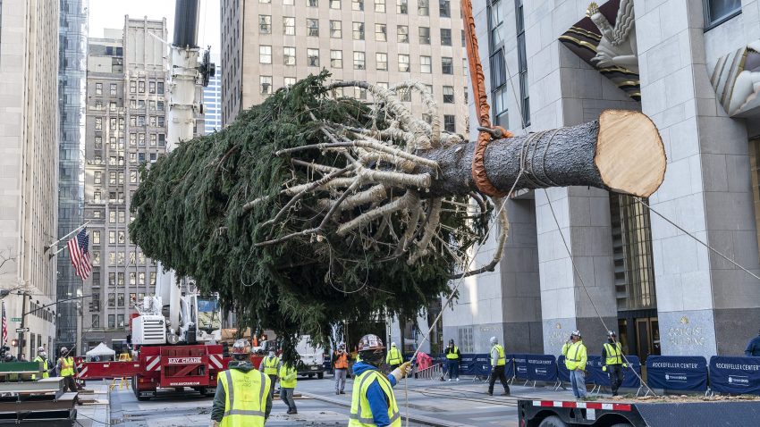 Don T Worry The Rockefeller Center Christmas Tree Is Just Fine Nbc Chicago