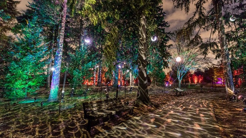 Lisle's Morton Arboretum Brings Illumination Reimagined This Winter – NBC  Chicago