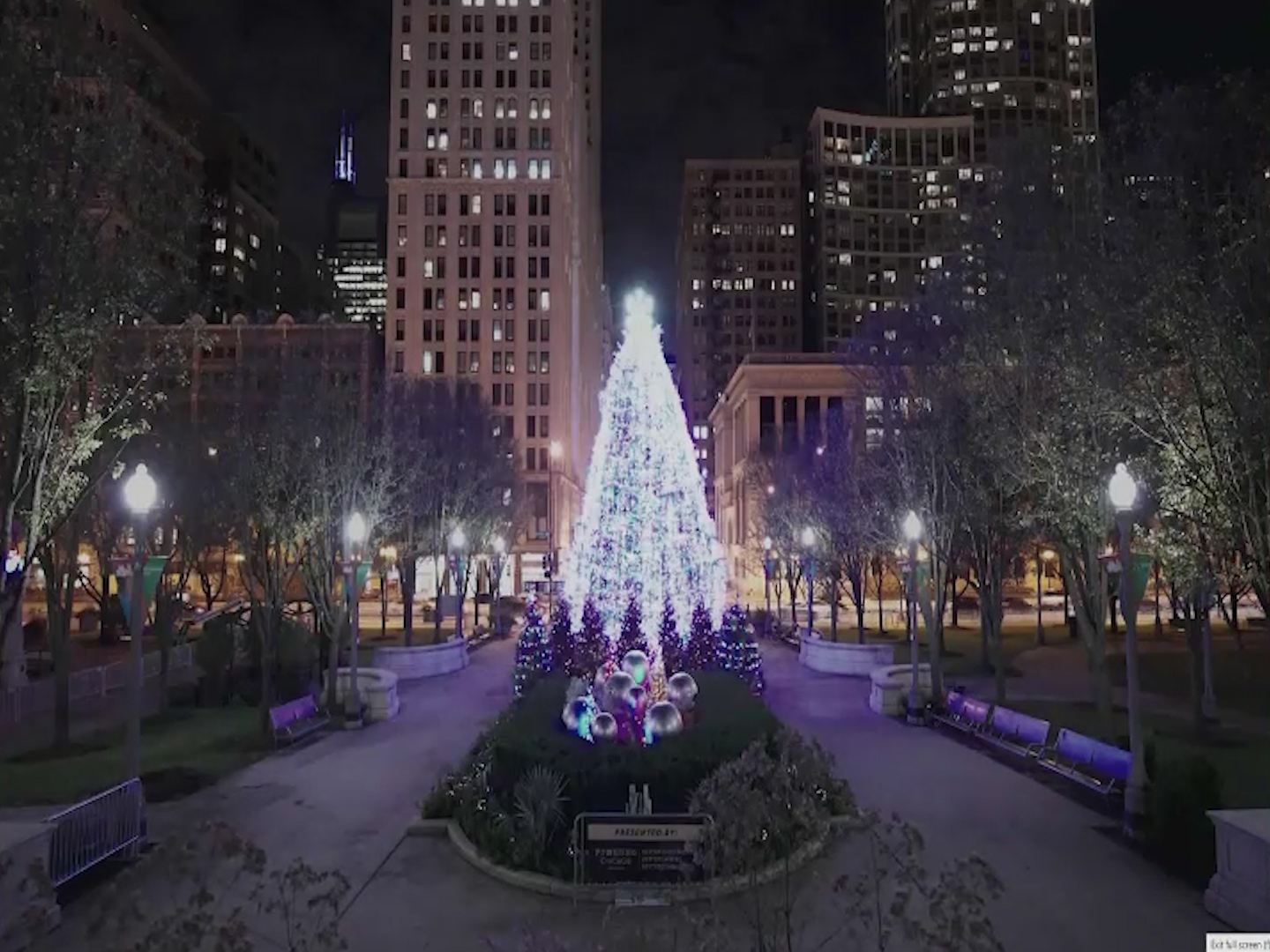 When Will Chicago’s ‘Official’ Christmas Tree Be Lit Up? What to Know About its Upcoming Debut – NBC Chicago