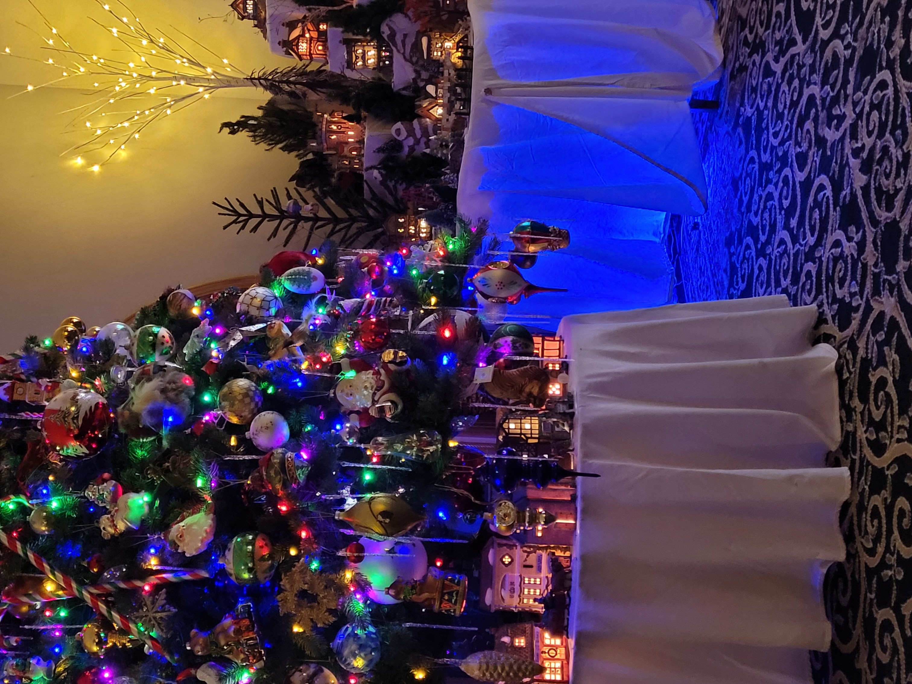 Photos: NBC 5 Viewers Share Beautiful Christmas Village Displays – NBC  Chicago