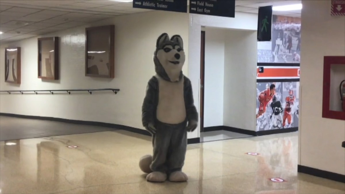 John Hersey High School Faculty Creates 'Home Alone' Spoof For Students – NBC Chicago - Vimarsana News