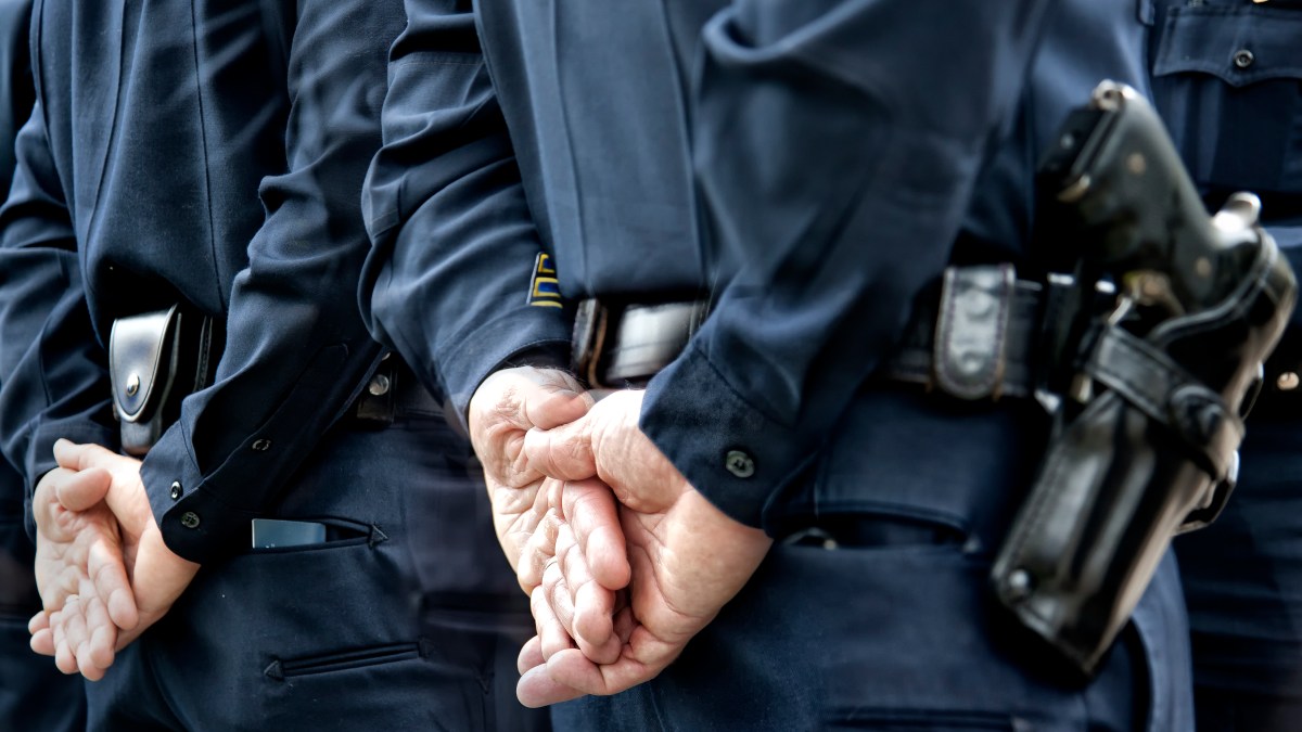 HB 3653: Police, Criminal Justice Reforms Bill Passed by Illinois General Assembly - Vimarsana News