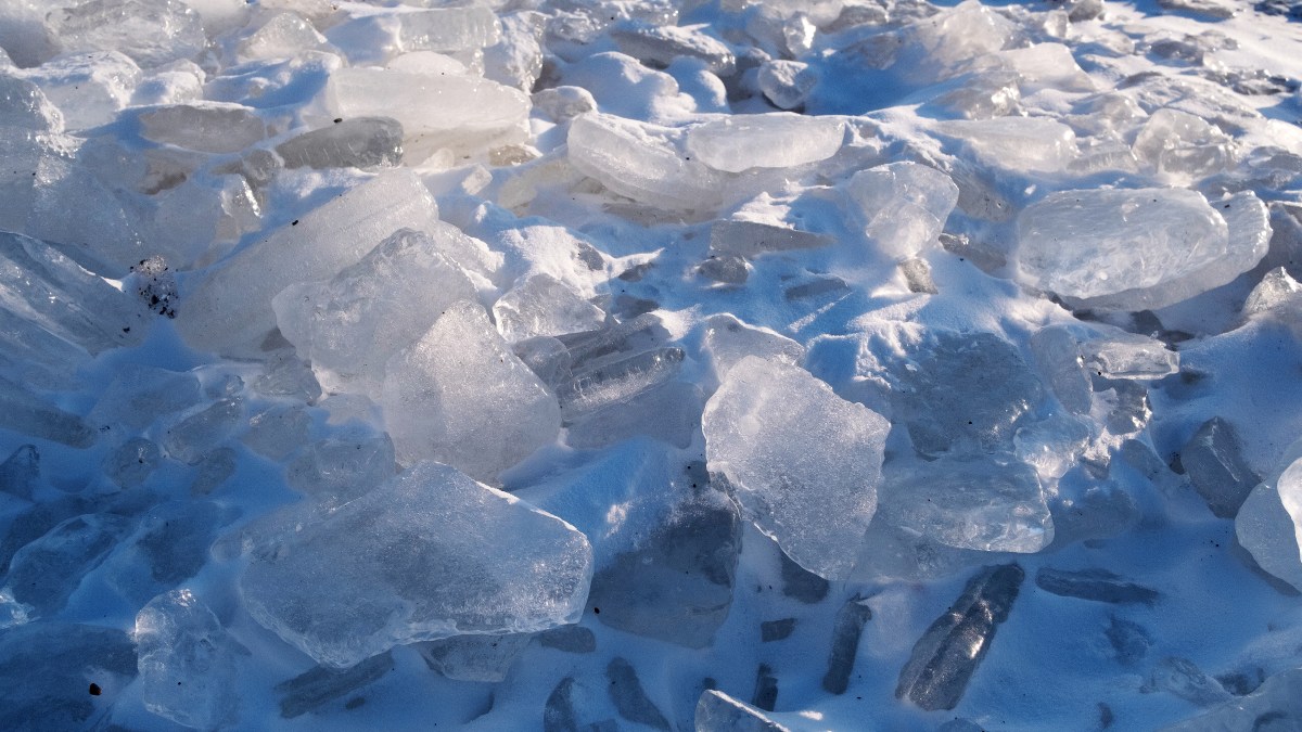 Group Issues Warning After Man Falls Through Lake Michigan 'Shelf Ice' – NBC Chicago - Vimarsana News