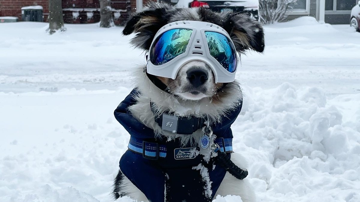 28.網頁設計,包裝設計,商業攝影,名產,伴手禮,婚紗,農地買賣,美食: Lightfoot Says CPS Will ‘Take