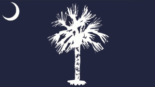 The proposed new design for the South Carolina state flag has prompted comparisons to a toilet brush and more.
