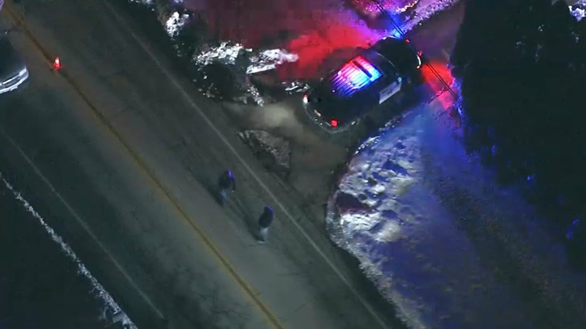 14-Year-Old Skateboarded Killed in Crash Near Elgin, Twin Brother Seriously Hurt – NBC Chicago - Vimarsana News