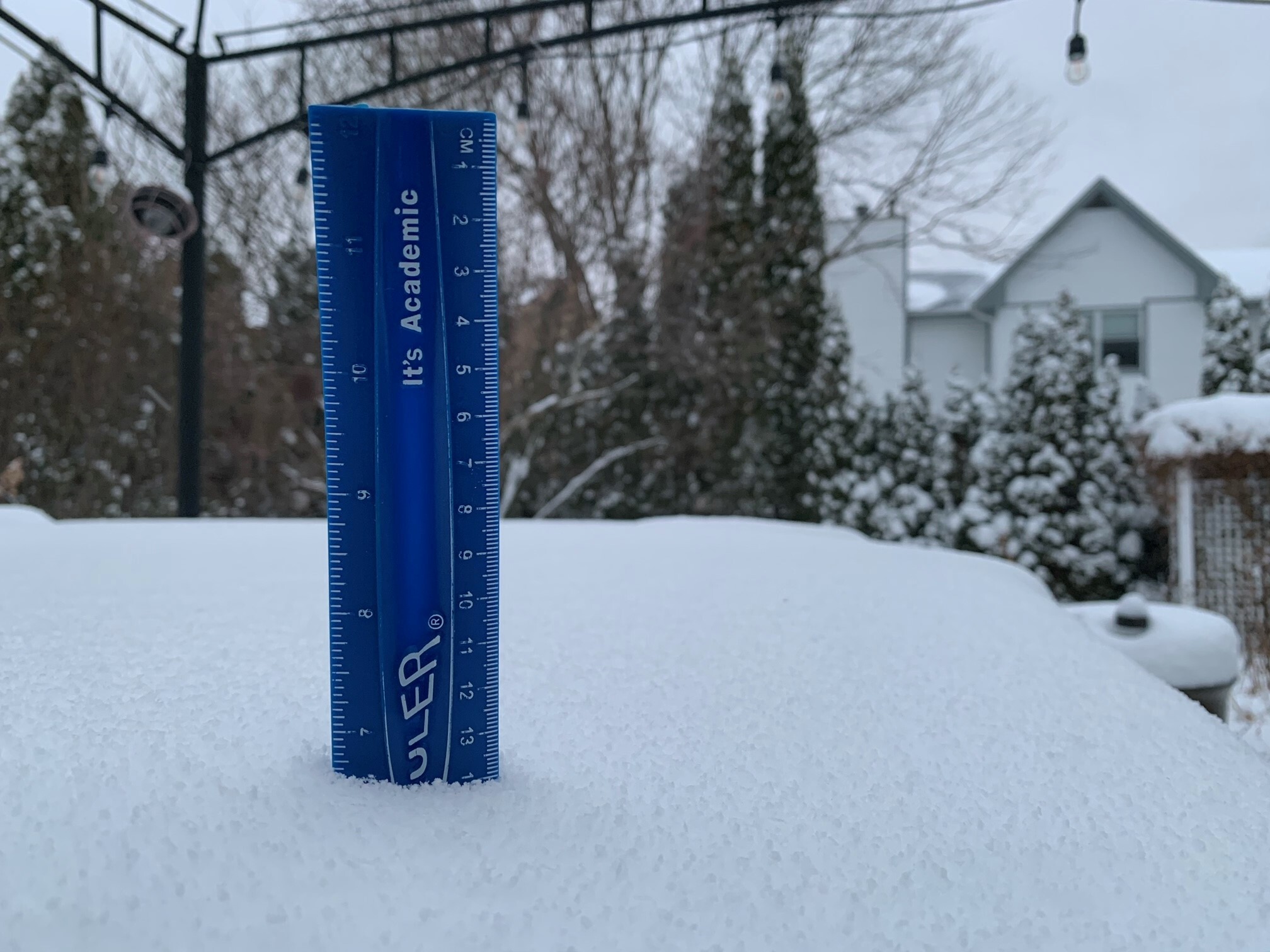 chicago snow totals january 20th