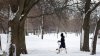 Timeline Shows Snowfall Pummeling Parts of Chicago Area Saturday