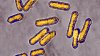 Deadly listeria outbreak linked to chicken alfredo sold at Kroger, Walmart hits Illinois