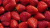 Boy, 8, dies from possible allergic reaction after eating strawberries at school fundraiser