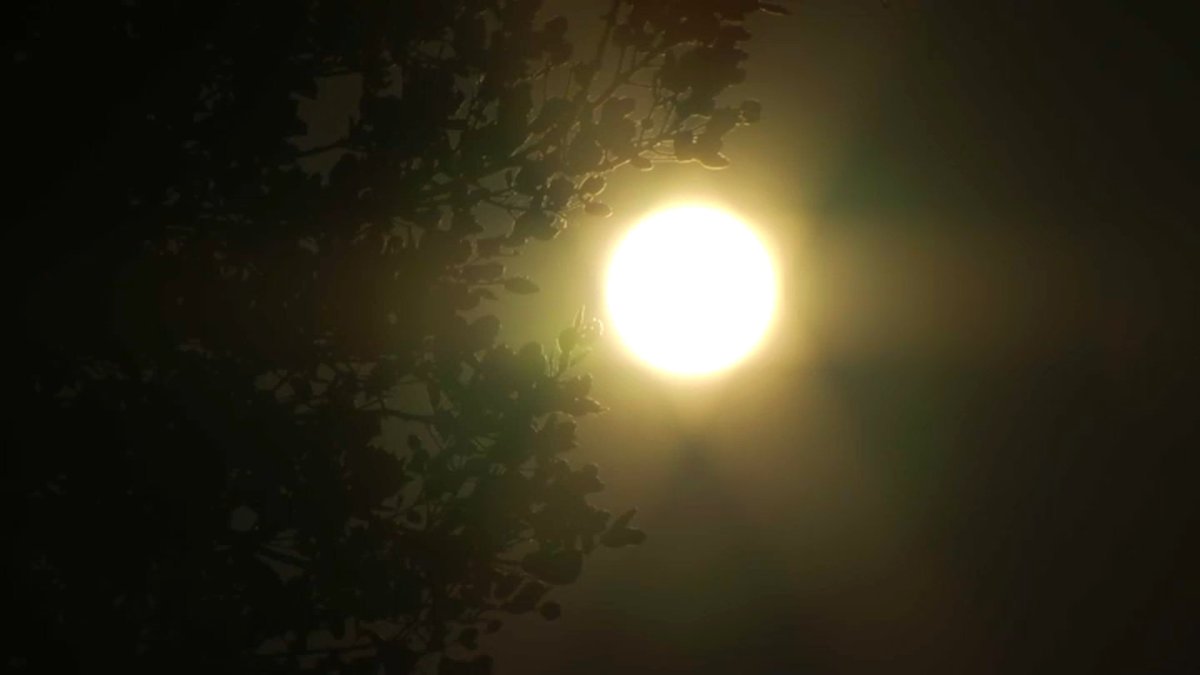 Summer solstice to kick off busy solar year of eclipses, increased