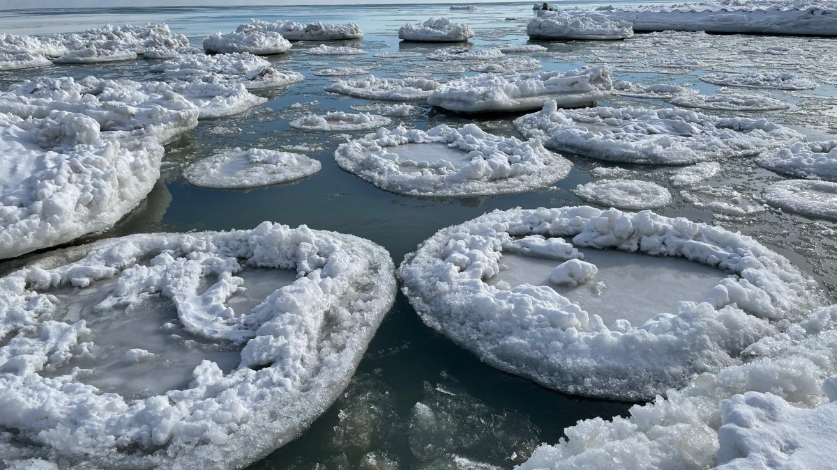 images Chicago Lake Michigan Ice 2021 ice pancakes lily pads deep dish what s behind the viral lake michigan ice formations