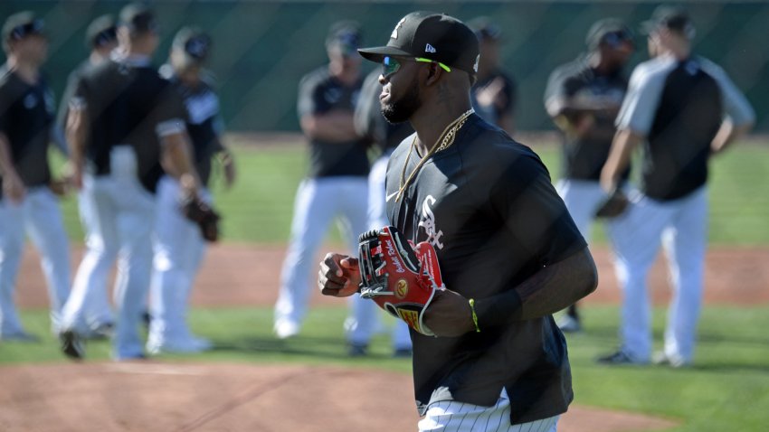 Bears Sign QB Andy Dalton and Fans on Twitter Are Really ...