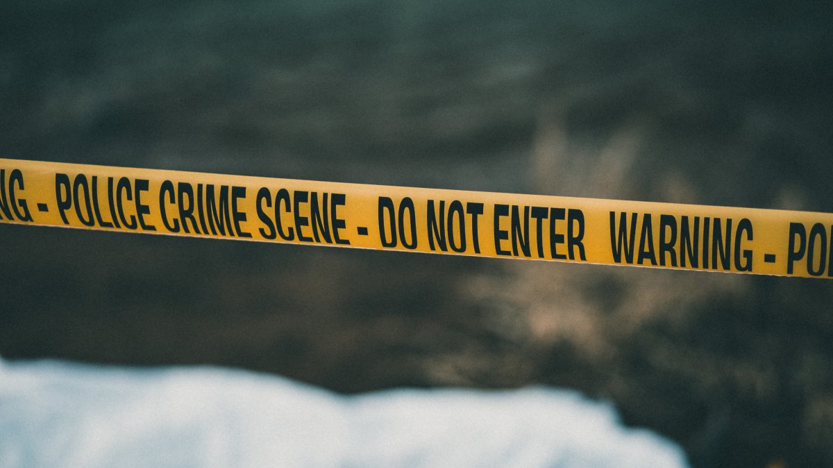 Caregiver Charged with First-Degree Murder for Beating Death of 6-Year-Old Boy in Round Lake Beach - Vimarsana News