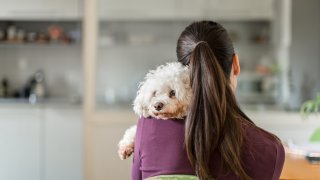 Happy woman and her newly adopted dog