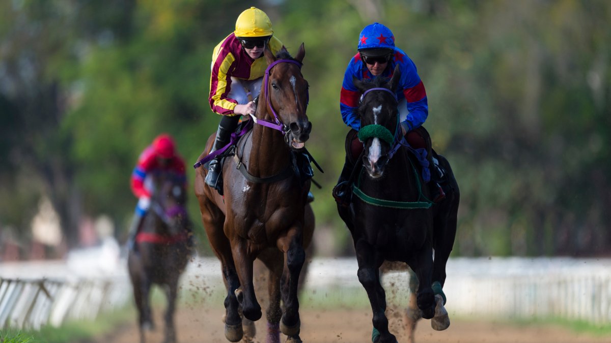 Arlington Racetrack Releases Stakes Schedule For Potentially Final Season – NBC Chicago