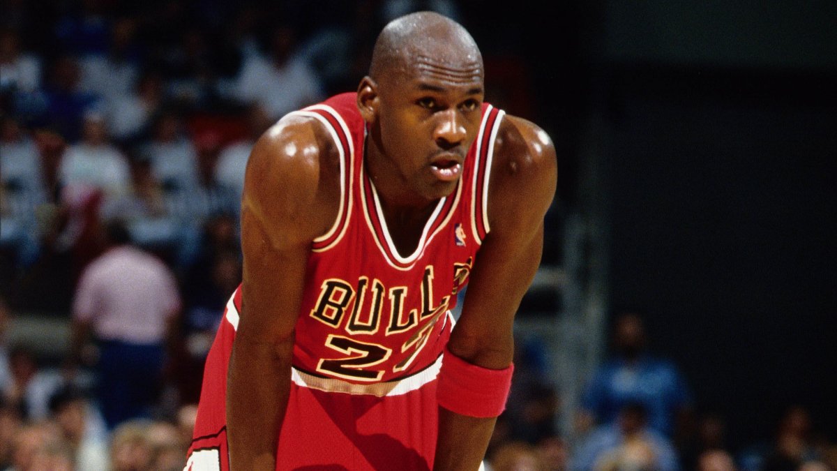 michael jordan larry jordan