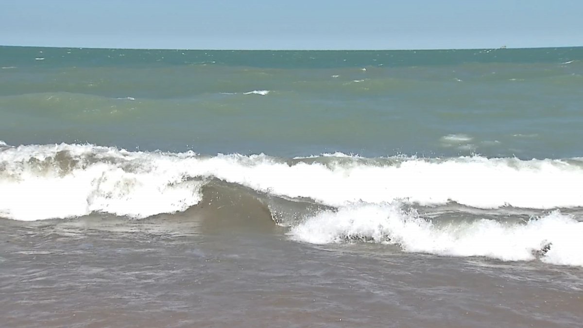 Man Dies After Being Pulled From Lake Michigan Near Montrose Beach