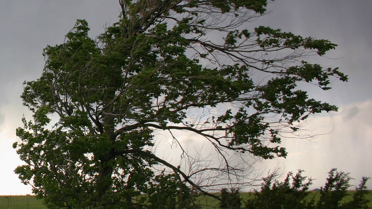 High Wind Warning, With Gusts up to 60 MPH, is in Effect for Illinois, NW Indiana - Vimarsana News