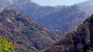 Photo of a smoldering tree in Sequoia National Park