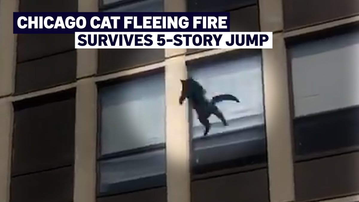 recap-this-week-s-top-news-headlines-in-chicago-and-illinois-nbc-chicago