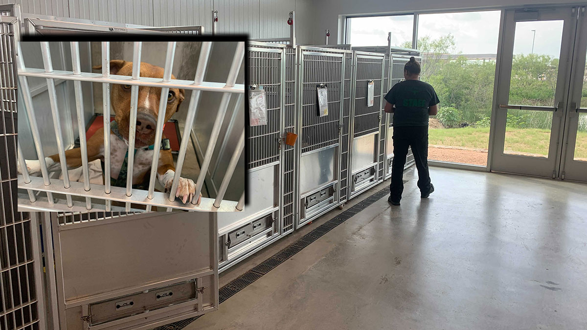 Clear the Shelters List of ChicagoArea Participating Shelters Near