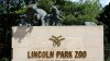 Lincoln Park Zoo lion Lomelok dies after ‘unprecedented surgery,' officials say