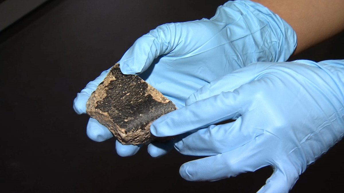 New Asteroid Meteorite Could Reveal Answers on Earth Formation – NBC ...
