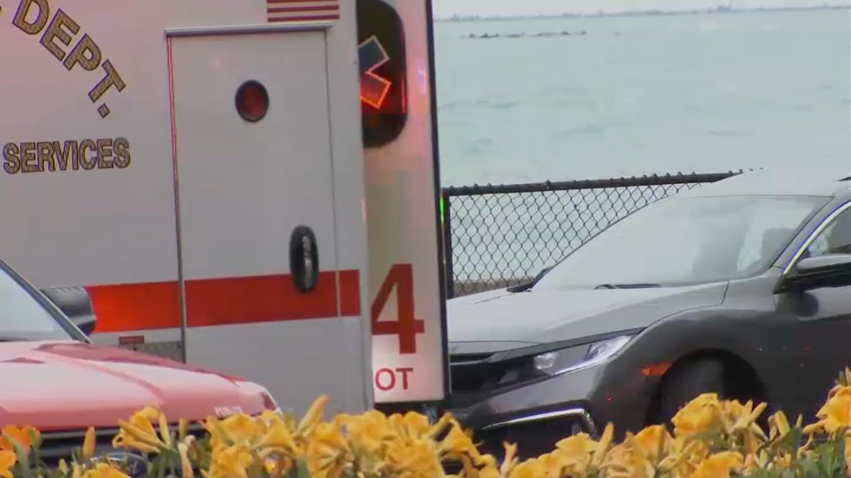 7 People, Including 4 Children, Injured in Crash on DuSable Lake Shore ...