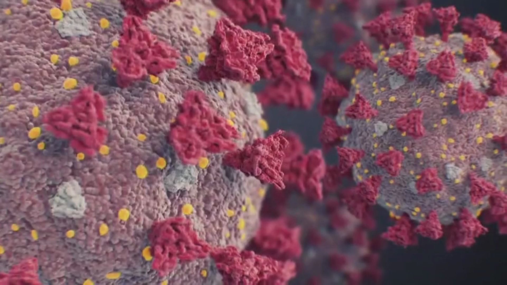 New XBB.1.5 Variant, Return to School Fuel Worries About Post-Holiday COVID Spike