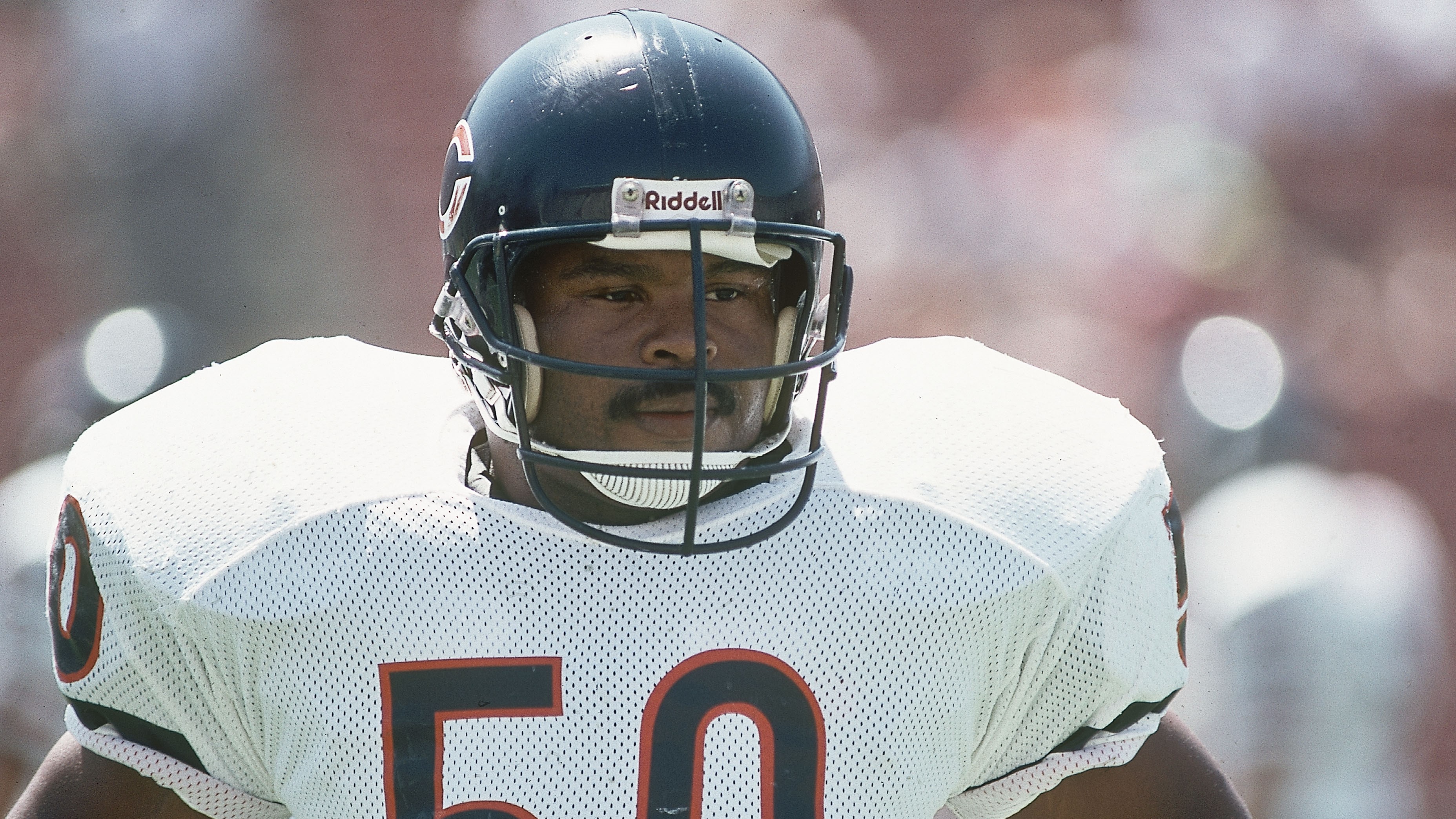 The 85 Bears Roster - v3mdeik