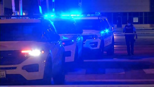 Woman in Custody After Fatal South Shore Stabbing, Chicago Police Say