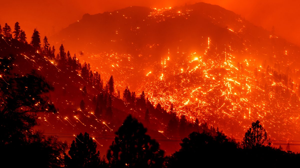 Calif. Wildfires Are Setting Records, and More Damage Is Expected – NBC Chicago - Vimarsana News