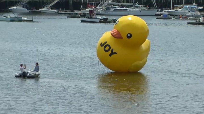 A giant rubber duckie with the word "joy" on it in Maine