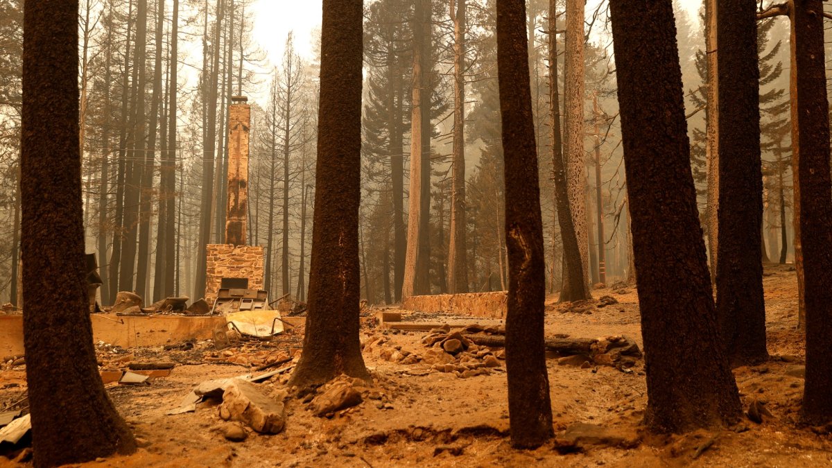 Caldor Fire Approaches Lake Tahoe After Mass Evacuation NBC Chicago