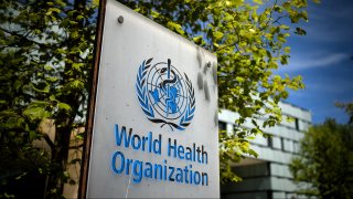 World Health Organization (WHO)