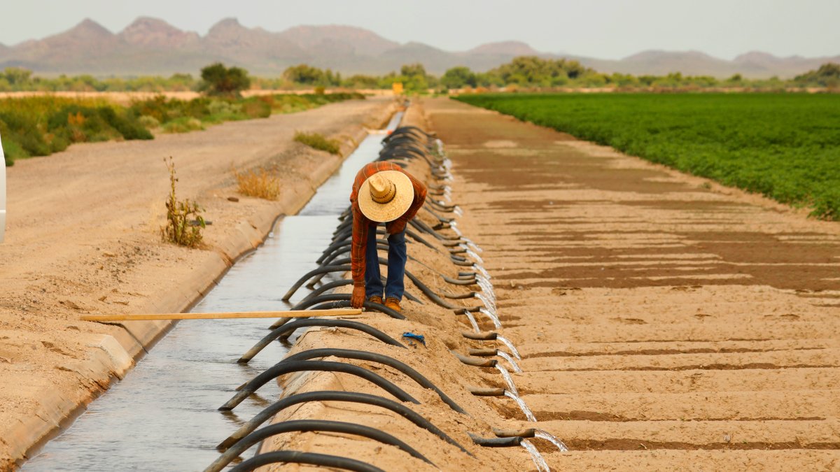 First Required Water Supply Cuts in US West to Hit Ariz. Farmers – NBC Chicago - Vimarsana News