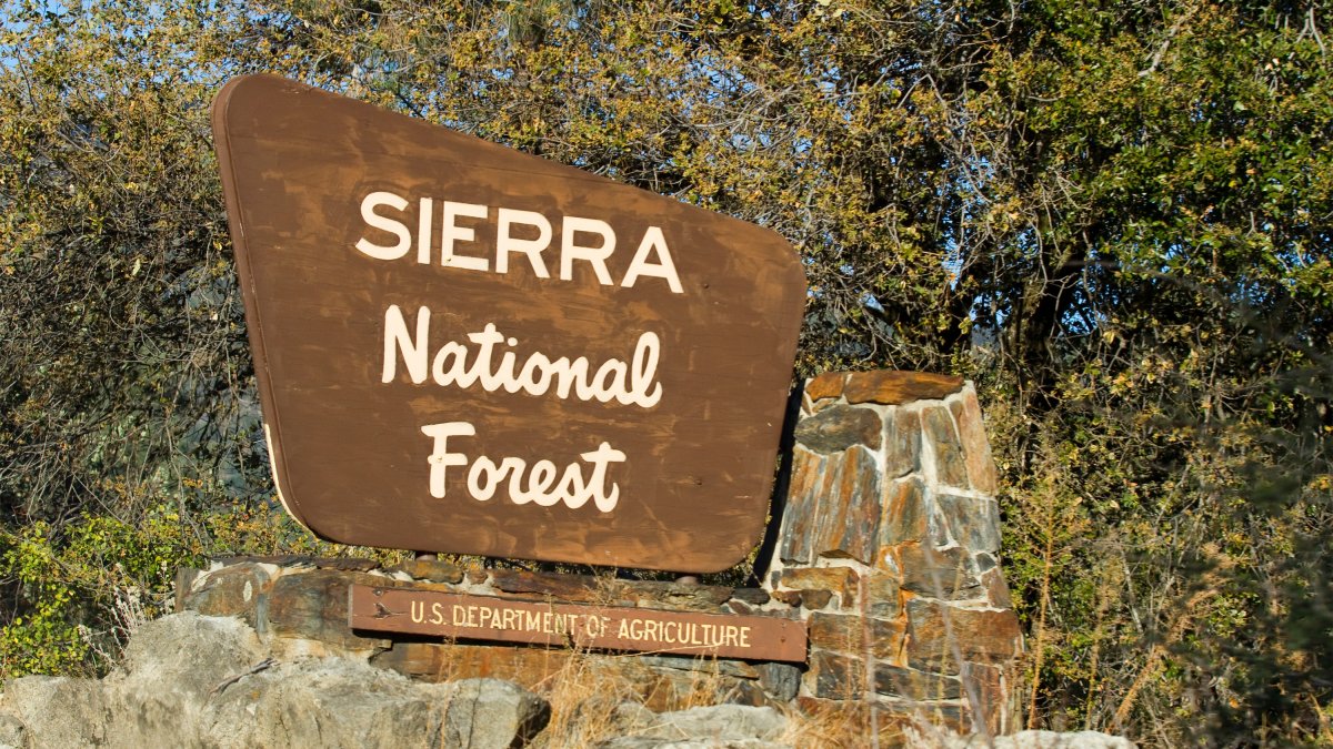 Mariposa Sheriff to Announce What Killed California Family on Hike – NBC Chicago - Vimarsana News