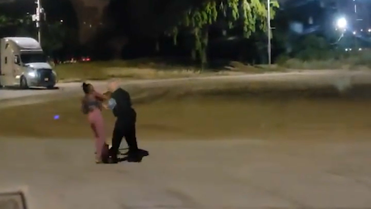 Investigation Underway After Video Shows Chicago Police Officer Violently Confronting and Grabbing Black Woman Who Was Walking Her Dog