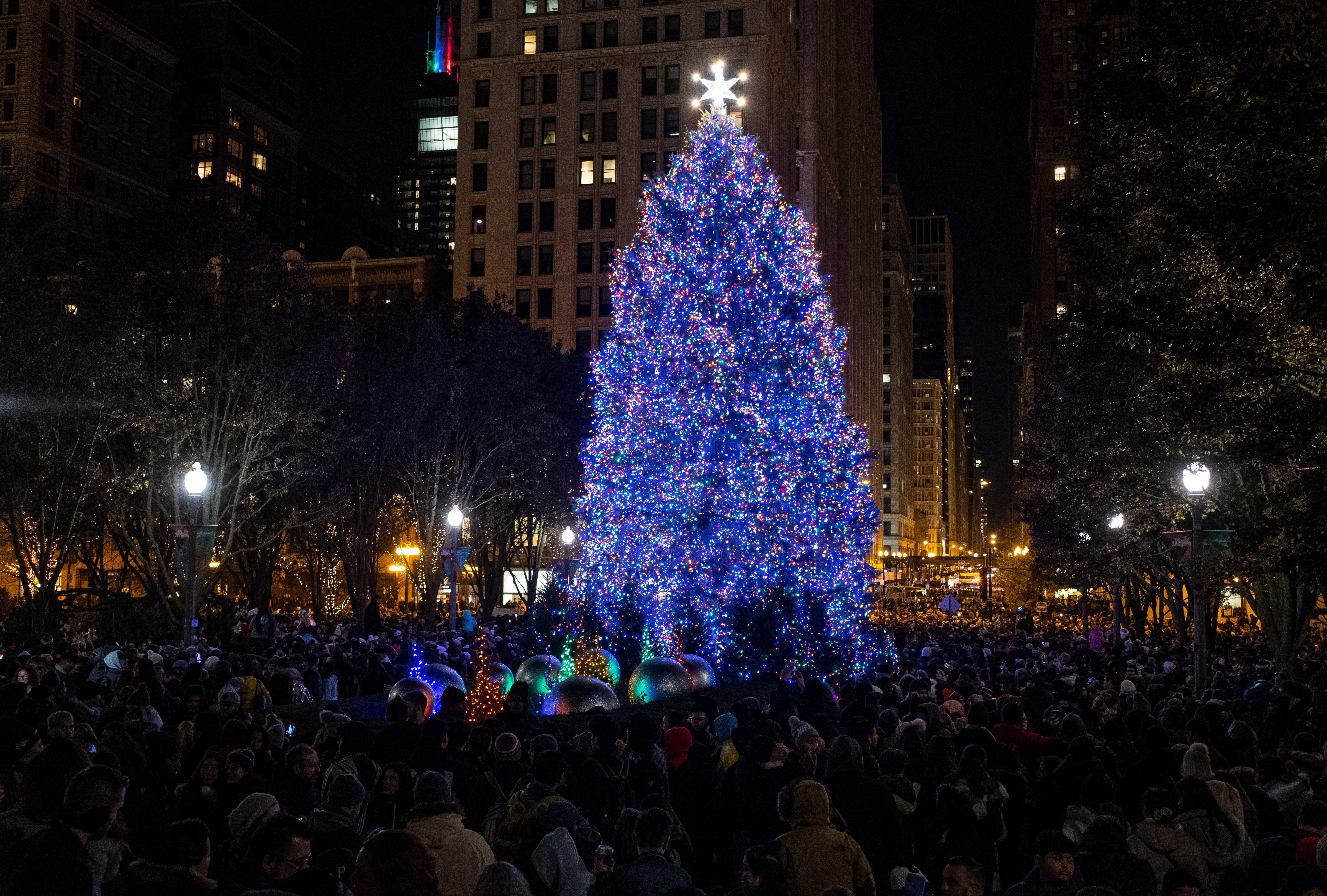 Chicago's Christmas Tree Lit Up for the Holiday Season