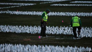 white flags on the National Mall covid deaths