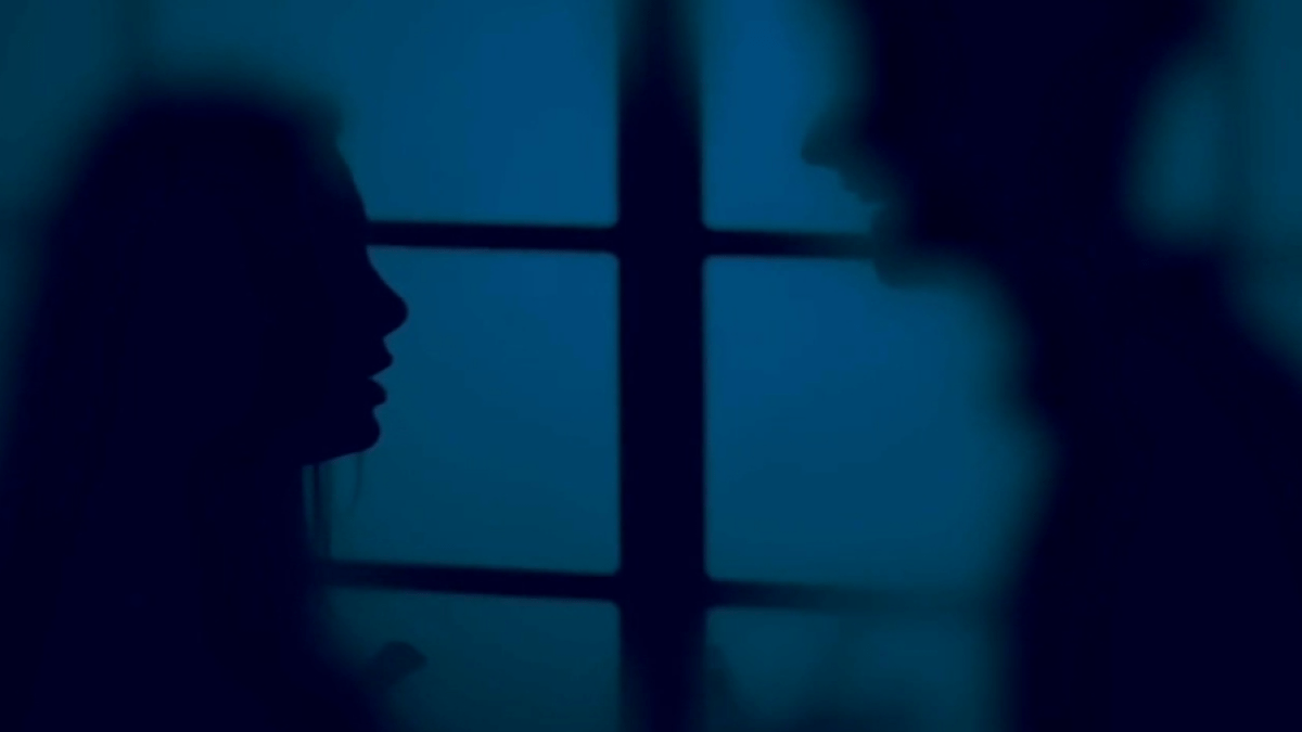 Amid recent tragedies, a look into resources in Illinois for survivors of domestic violence
