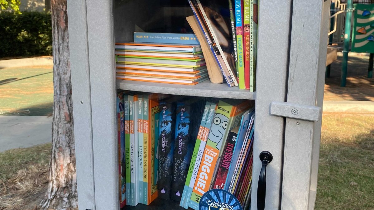 Someone is cutting down free little libraries in a Chicago suburb and police are searching for the suspect